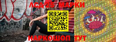 сатива Кимры