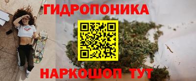 сатива Кимры