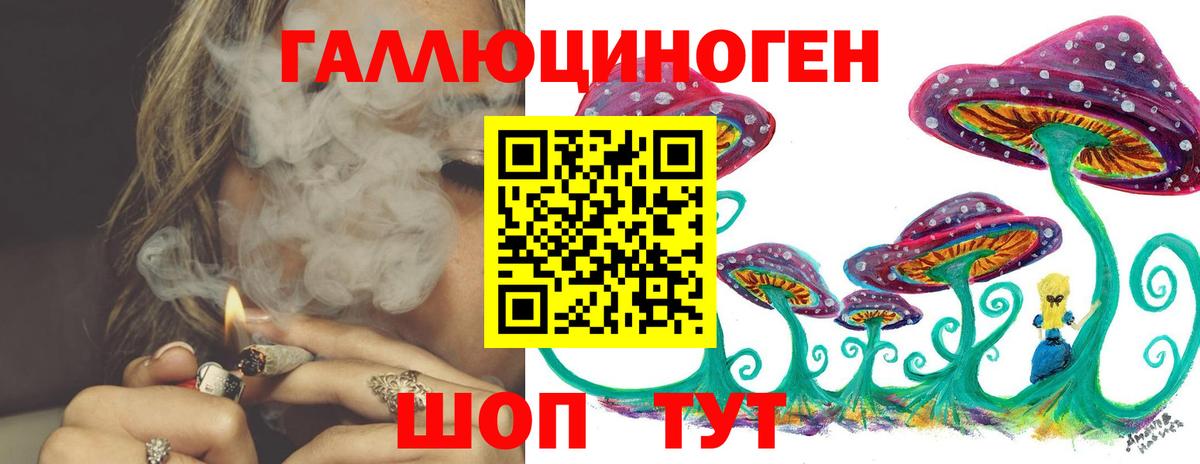 Галлюциногенные грибы мицелий Курчатов